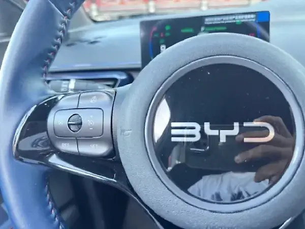 BYD Dolphin Mini - Imagem 14
