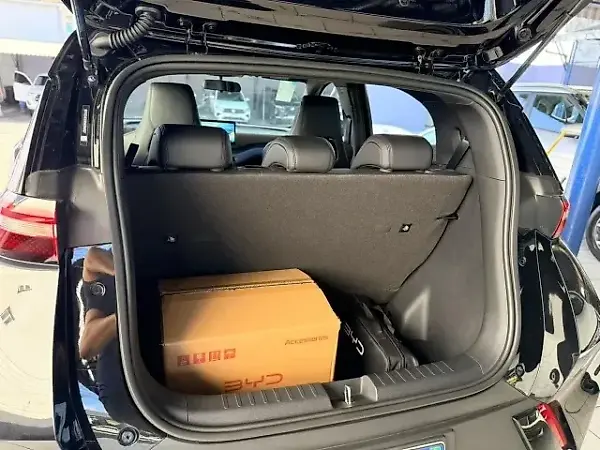 BYD Dolphin Mini - Imagem 14
