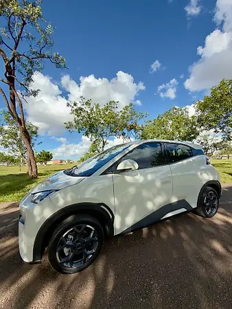 BYD Dolphin Mini - Imagem 18