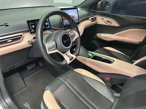 BYD Dolphin Mini - Imagem 11