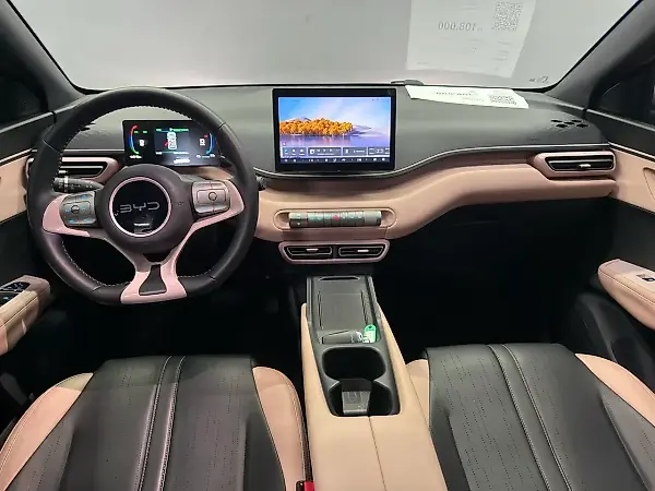 BYD Dolphin Mini - Imagem 10
