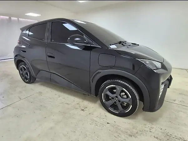 BYD Dolphin Mini - Imagem 8