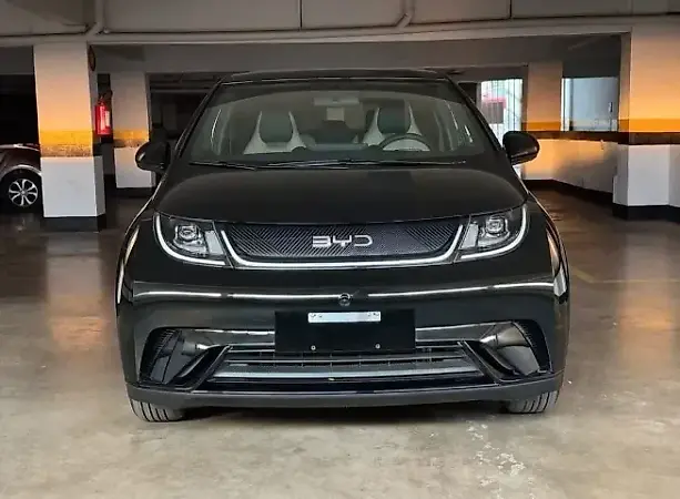 BYD Dolphin Mini - Imagem 2