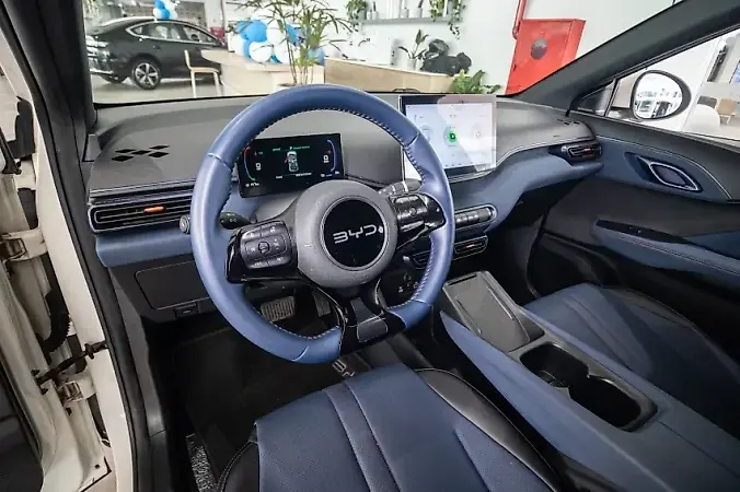 BYD Dolphin Mini - Imagem 13