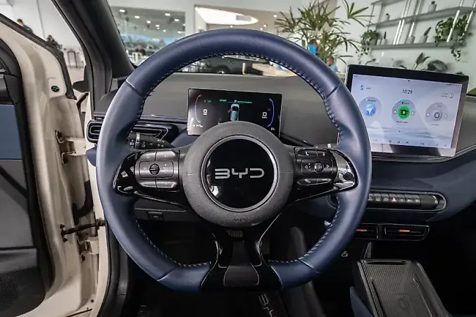 BYD Dolphin Mini - Imagem 15