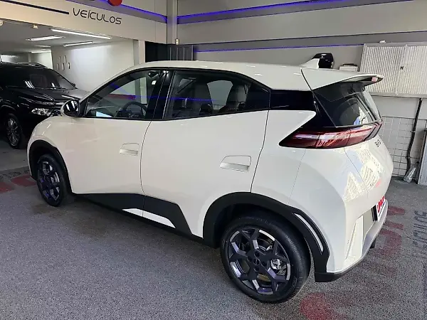BYD Dolphin Mini - Imagem 6