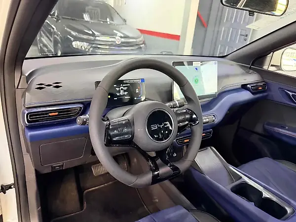 BYD Dolphin Mini - Imagem 9