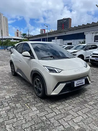 BYD Dolphin Mini - Imagem 1