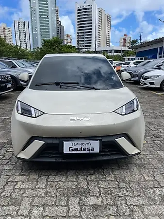BYD Dolphin Mini - Imagem 3