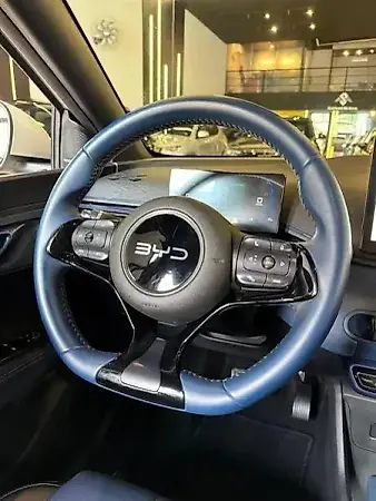 BYD Dolphin Mini - Imagem 10