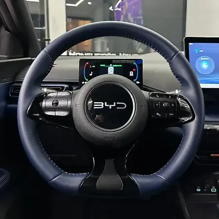 BYD Dolphin Mini - Imagem 5