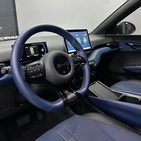 BYD Dolphin Mini - Imagem 9