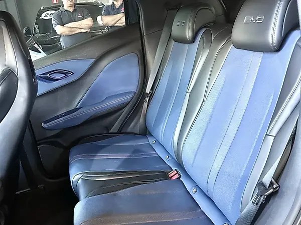 BYD Dolphin Mini - Imagem 13