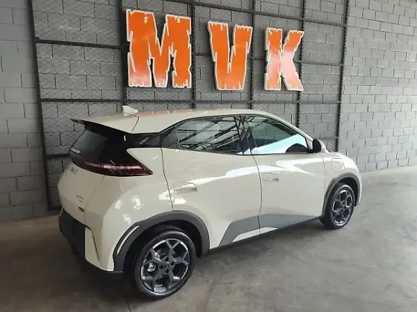 BYD Dolphin Mini - Imagem 4
