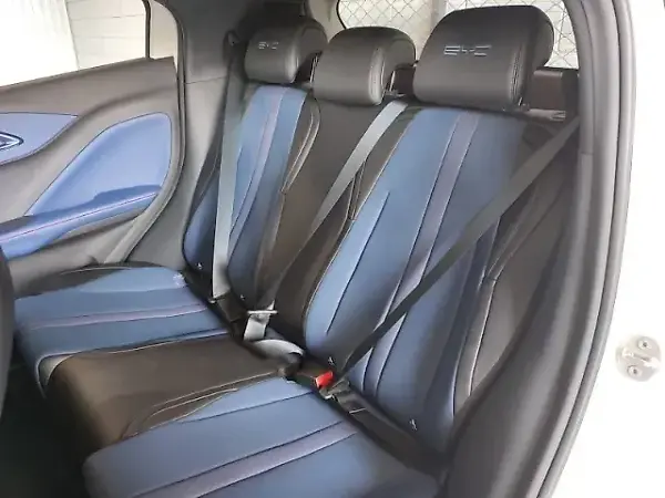 BYD Dolphin Mini - Imagem 7