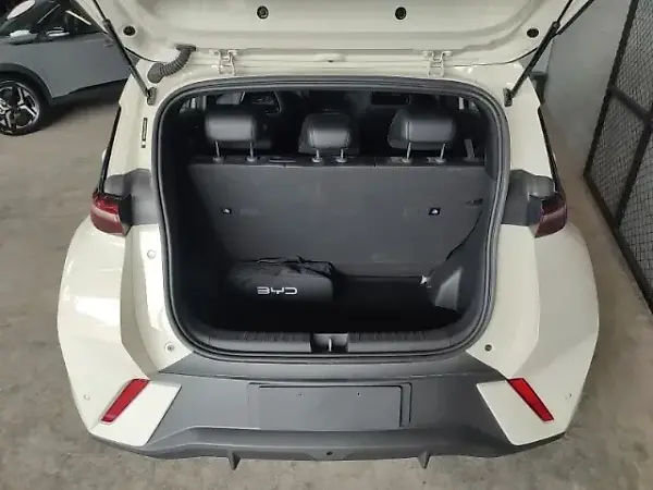 BYD Dolphin Mini - Imagem 12