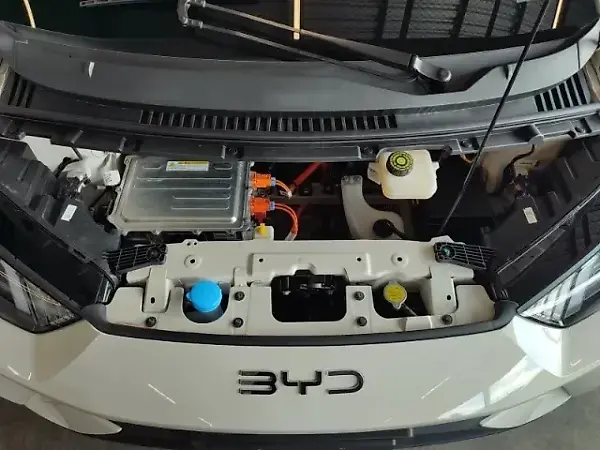 BYD Dolphin Mini - Imagem 11