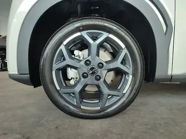 BYD Dolphin Mini - Imagem 15