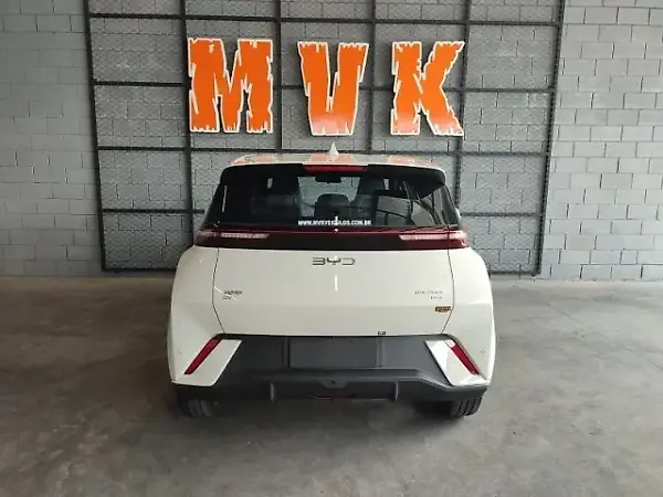 BYD Dolphin Mini - Imagem 14