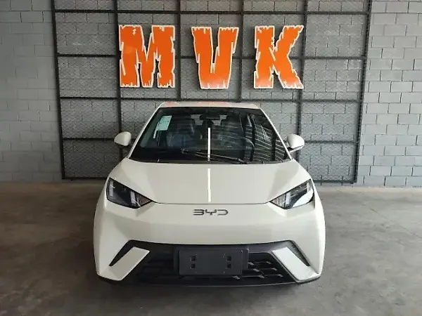 BYD Dolphin Mini - Imagem 13