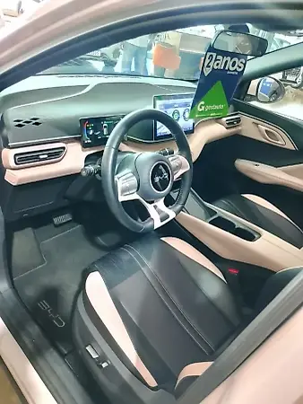 BYD Dolphin Mini - Imagem 8