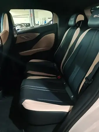 BYD Dolphin Mini - Imagem 9