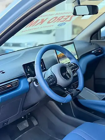 BYD Dolphin Mini - Imagem 8