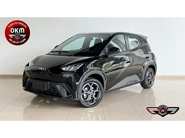 BYD Dolphin Mini - Imagem 1