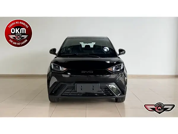BYD Dolphin Mini - Imagem 2