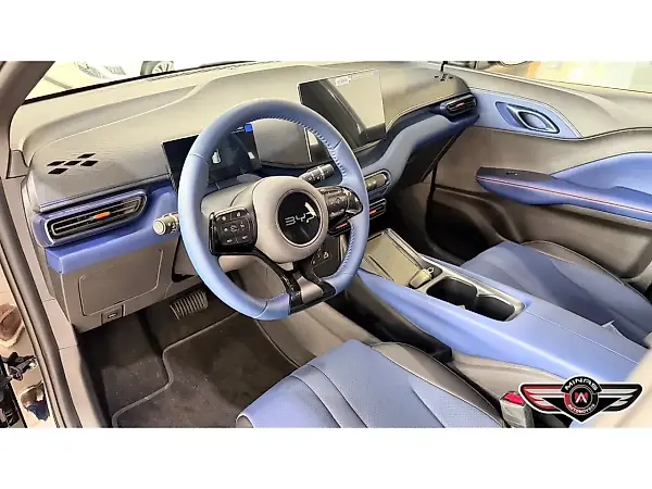 BYD Dolphin Mini - Imagem 9