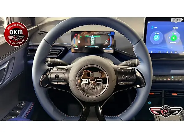BYD Dolphin Mini - Imagem 10