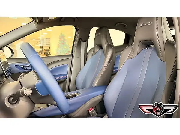 BYD Dolphin Mini - Imagem 15