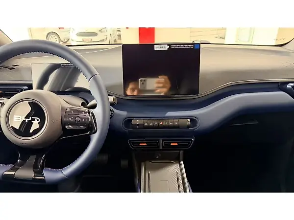 BYD Dolphin Mini - Imagem 12