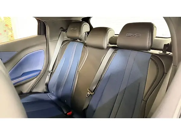 BYD Dolphin Mini - Imagem 18