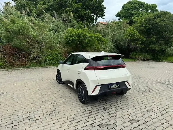 BYD Dolphin Mini - Imagem 6