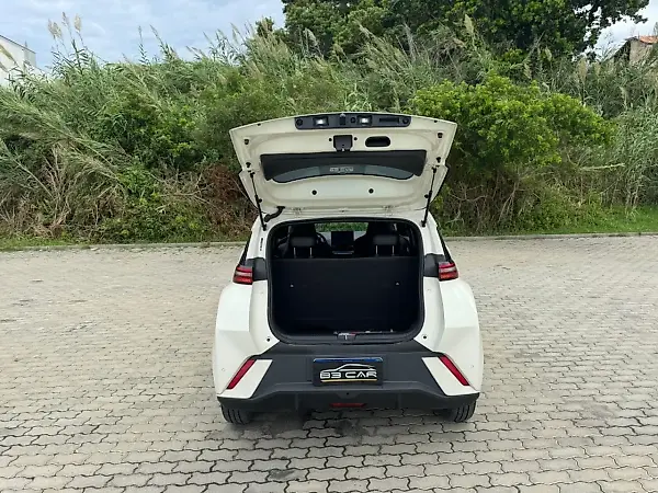 BYD Dolphin Mini - Imagem 9