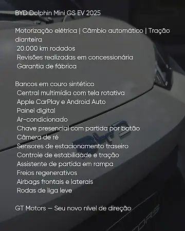 BYD Dolphin Mini - Imagem 20