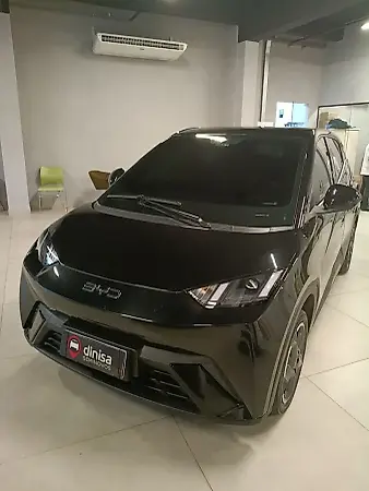 BYD Dolphin Mini - Imagem 1