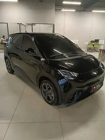 BYD Dolphin Mini - Imagem 2