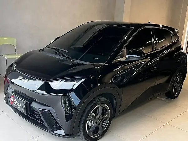 BYD Dolphin Mini - Imagem 2