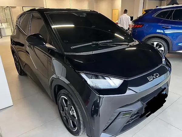 BYD Dolphin Mini - Imagem 6