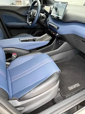 BYD Dolphin Mini - Imagem 11