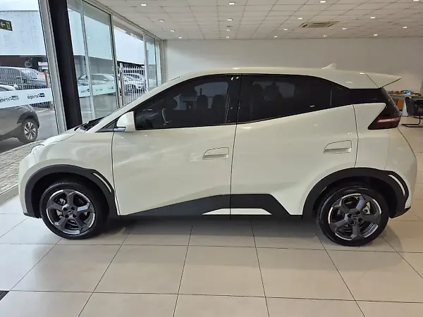 BYD Dolphin Mini - Imagem 11