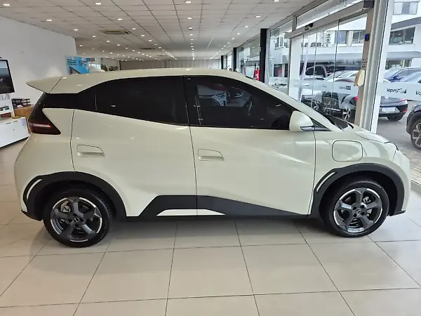 BYD Dolphin Mini - Imagem 10