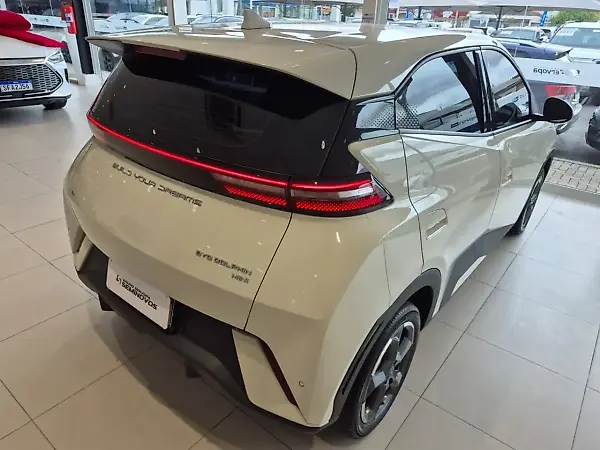 BYD Dolphin Mini - Imagem 14