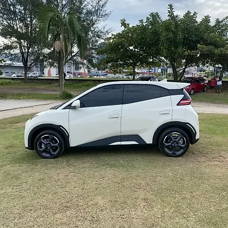 BYD Dolphin Mini - Imagem 4