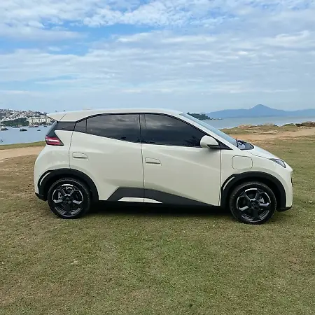 BYD Dolphin Mini - Imagem 8