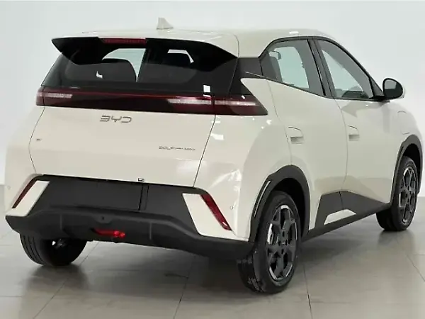 BYD Dolphin Mini - Imagem 6