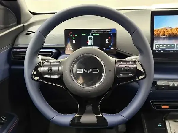 BYD Dolphin Mini - Imagem 19