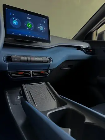 BYD Dolphin Mini - Imagem 11